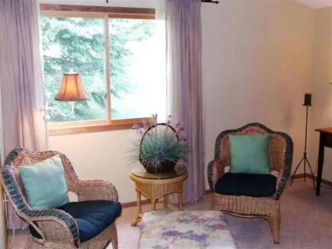 2 A13 Hidden Spring Ln, Apple River, IL 61001 photo 8