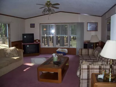 9433 Pine Dr, Thomson, IL 61285 photo 3