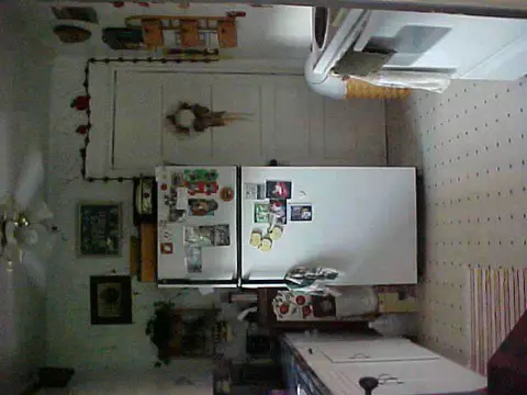 211 E Franklin, Mount Carroll, IL 61053 photo 5