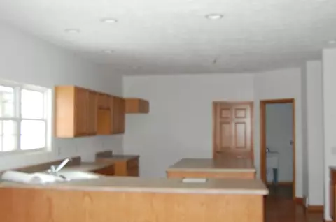 1393 Chadborne, Davis, IL 61019 photo 4