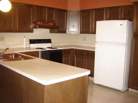 306 E Sunrise Dr, Shannon, IL 61078 photo 7