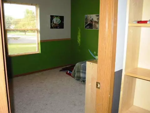 310 E Pine St, Forreston, IL 61030 photo 8