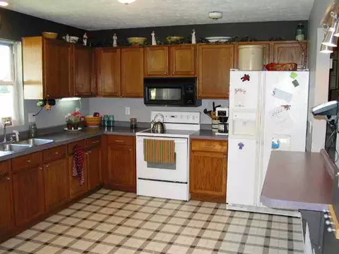 310 E Pine St, Forreston, IL 61030 photo 5