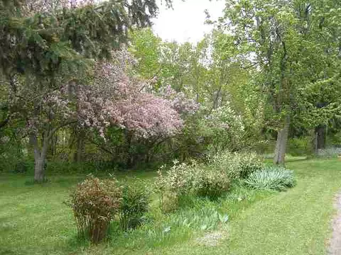 2284 E River Rd, Freeport, IL 61032 photo 7