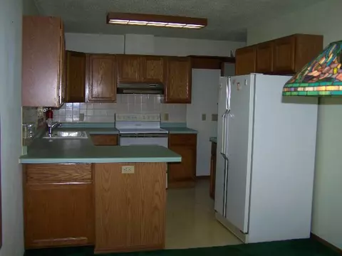 5827 Miner Rd, Thomson, IL 61285 photo 4