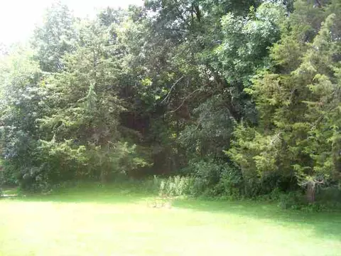 10703 Loop Rd, Savanna, IL 61074 photo 9