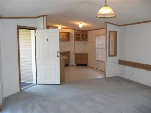 202 E Hickory St, Apple River, IL 61001 photo 2