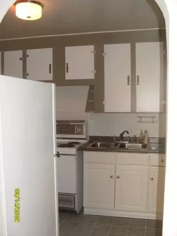 303 W Spring St, Mount Carroll, IL 61053 photo 5