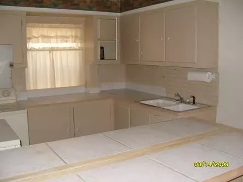303 W Spring St, Mount Carroll, IL 61053 photo 7
