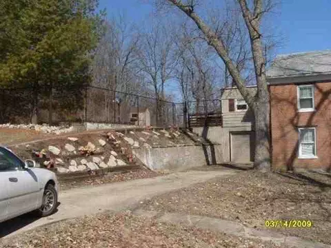 303 W Spring St, Mount Carroll, IL 61053 photo 3