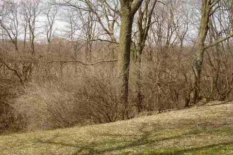 1530 S Burckhardt Ln, Freeport, IL 61032 photo 7