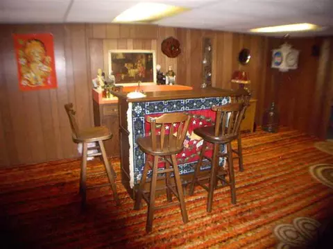 301 Willow, Forreston, IL 61030 photo 9