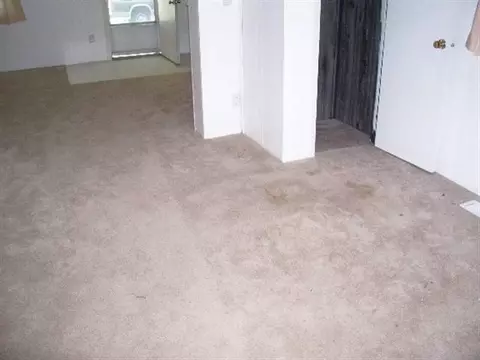 412 N Broad, Lanark, IL 61046 photo 7