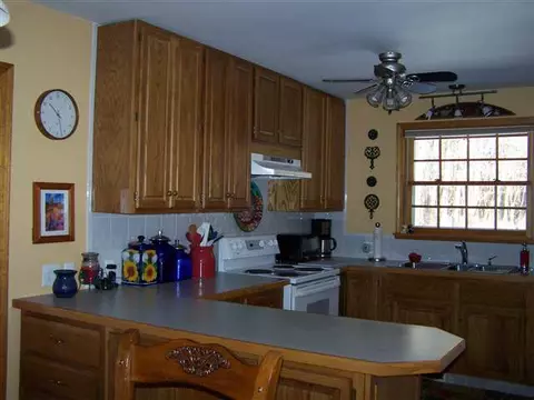 5063 Locust Ln, Thomson, IL 61285 photo 6