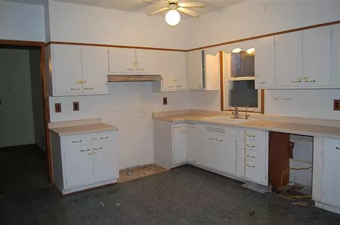 204 E Third, Leaf River, IL 61047 photo 8