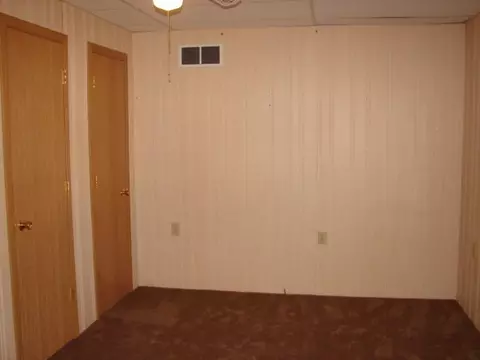 309 W Jefferson, Ridott, IL 61067 photo 3