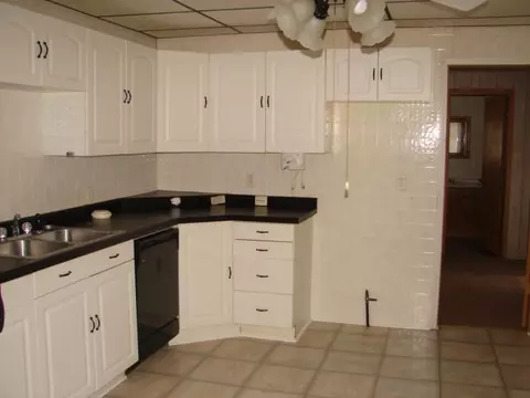 309 W Jefferson, Ridott, IL 61067 photo 2