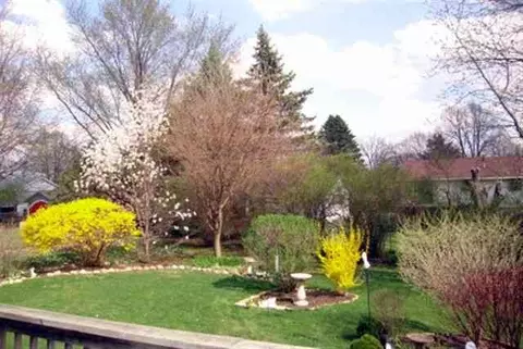769 Brad Mar Dr, Freeport, IL 61032 photo 12