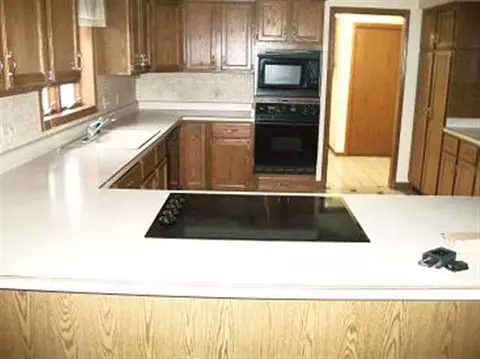 79 Delburne, Davis, IL 61019 photo 5