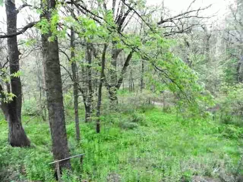 7 A30 Broken Lance Ln, Apple River, IL 61046 photo 12