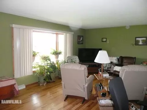 220 Palm Dr, Lena, IL 61048 photo 4