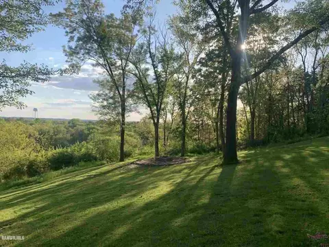 10854 Loop Rd, Savanna, IL 61074 photo 28