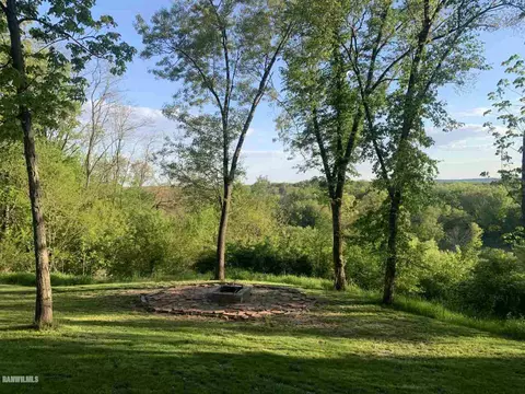 10854 Loop Rd, Savanna, IL 61074 photo 30