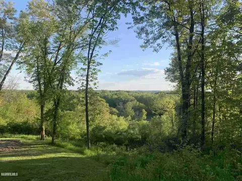 10854 Loop Rd, Savanna, IL 61074 photo 29