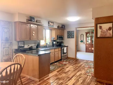 10854 Loop Rd, Savanna, IL 61074 photo 13