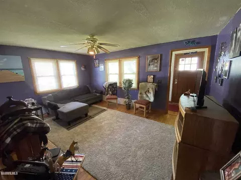 501 E Ridge St, Mount Carroll, IL 61053 photo 11