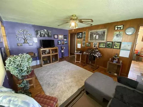 501 E Ridge St, Mount Carroll, IL 61053 photo 9