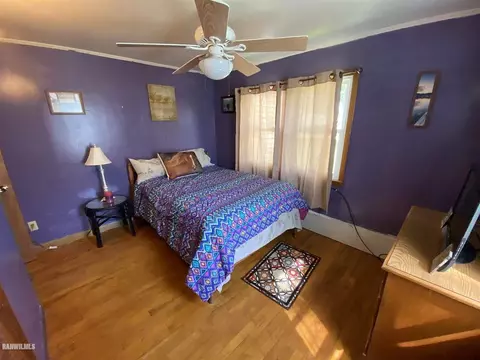 501 E Ridge St, Mount Carroll, IL 61053 photo 18