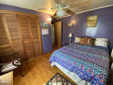 501 E Ridge St, Mount Carroll, IL 61053 photo 17