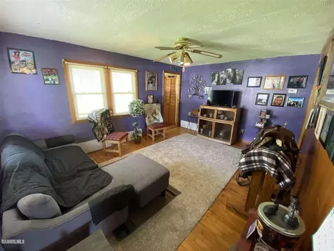 501 E Ridge St, Mount Carroll, IL 61053 photo 10