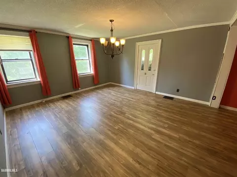 315 E Seminary St, Mount Carroll, IL 61053 photo 10