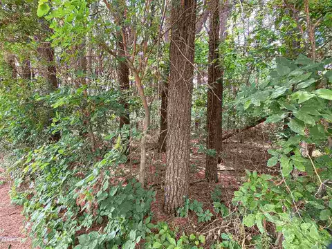 lot3 Squire Cir, Thomson, IL 61285