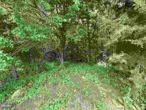 lot12 13 Pheasant Dr, Thomson, IL 61285