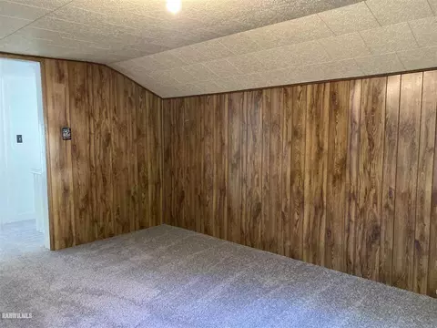 221 E Franklin St, Lanark, IL 61046 photo 24