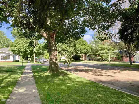 221 E Franklin St, Lanark, IL 61046 photo 30