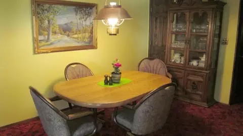 16 Delburne, Davis, IL 61019 photo 6