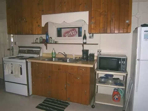 411 E Ridge St, Mount Carroll, IL 61053 photo 11