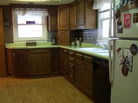 208 S Burns St, Lanark, IL 61046 photo 4