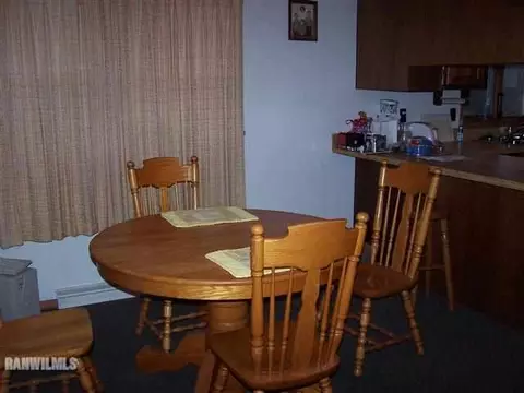 308 E Palm Dr, Lena, IL 61048 photo 4