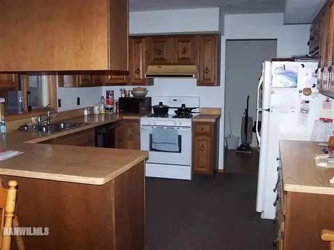 308 E Palm Dr, Lena, IL 61048 photo 5