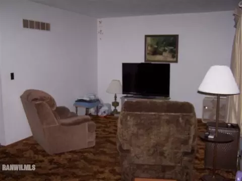 308 E Palm Dr, Lena, IL 61048 photo 3