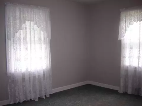 206 E Franklin St, Mount Carroll, IL 61053 photo 7