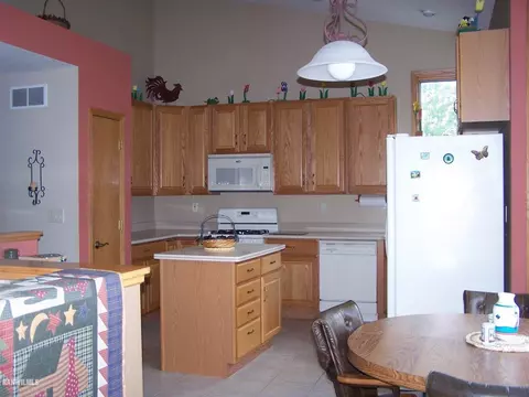 3-449 R Deerfield Ct, Lake Carroll, IL 61046 photo 5