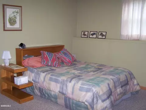 3-449 R Deerfield Ct, Lake Carroll, IL 61046 photo 11