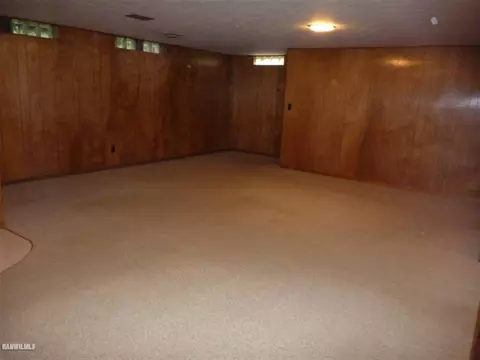 401 E Center St, Mount Carroll, IL 61053 photo 11
