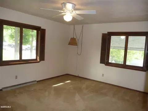 401 E Center St, Mount Carroll, IL 61053 photo 7